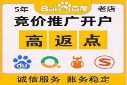 竞价排名案例：跨平台推广效果分析